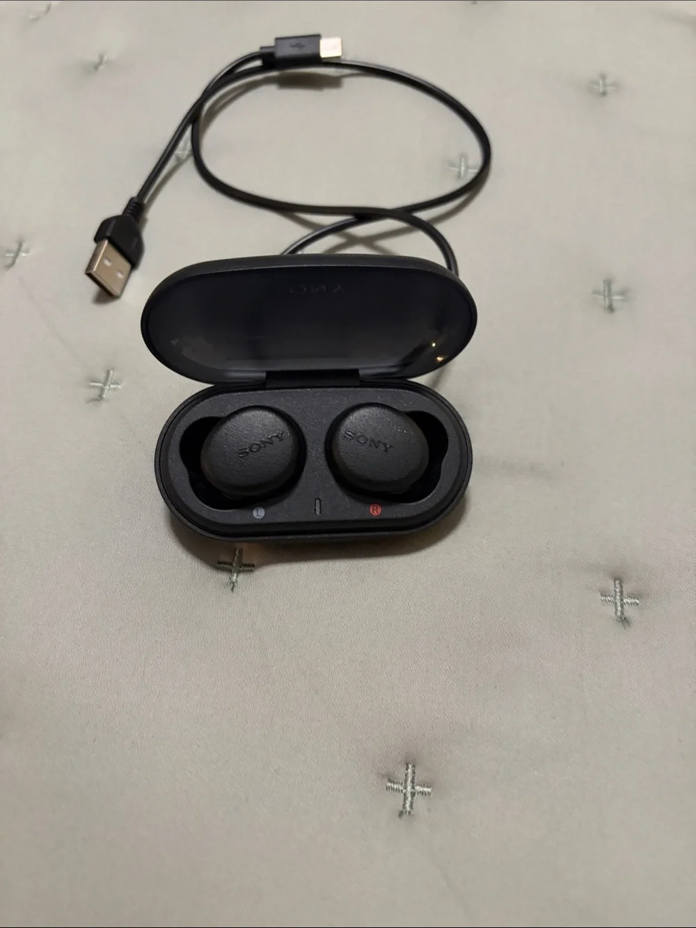 Sony True Wireless Earbuds - Black Charging Case